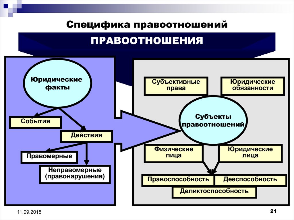 Участники юридического процесса