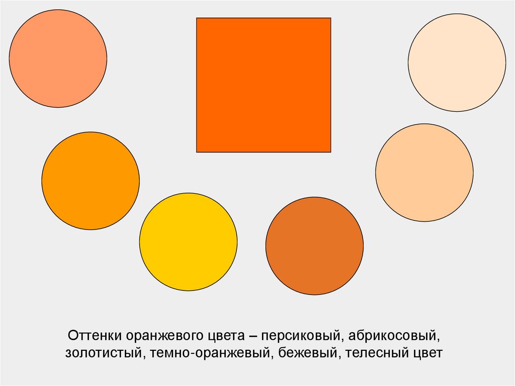 Оттенки оранжевого цвета – персиковый, абрикосовый, золотистый, темно-оранжевый, бежевый, телесный цвет