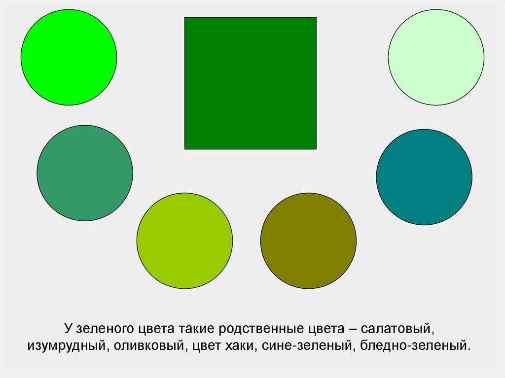 У зеленого цвета такие родственные цвета – салатовый, изумрудный, оливковый, цвет хаки, сине-зеленый, бледно-зеленый.