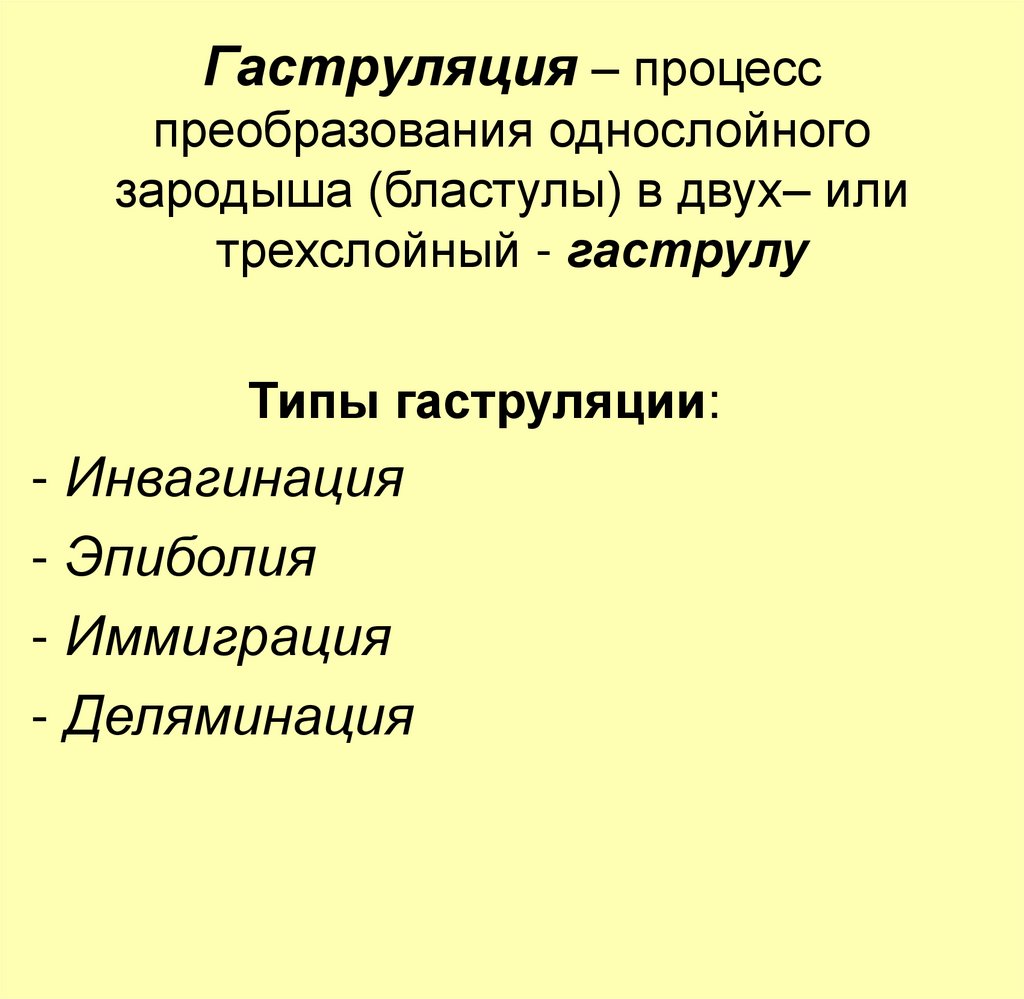 Процесс превращения однослойного зародыша