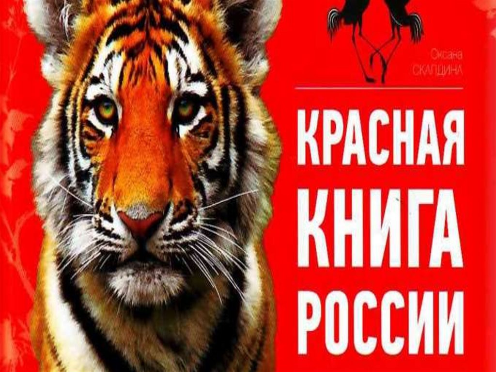 День красной книги. Красная книга обложка. Красная книга России. Обложка красной книги России. Красная книга России книга обложка.