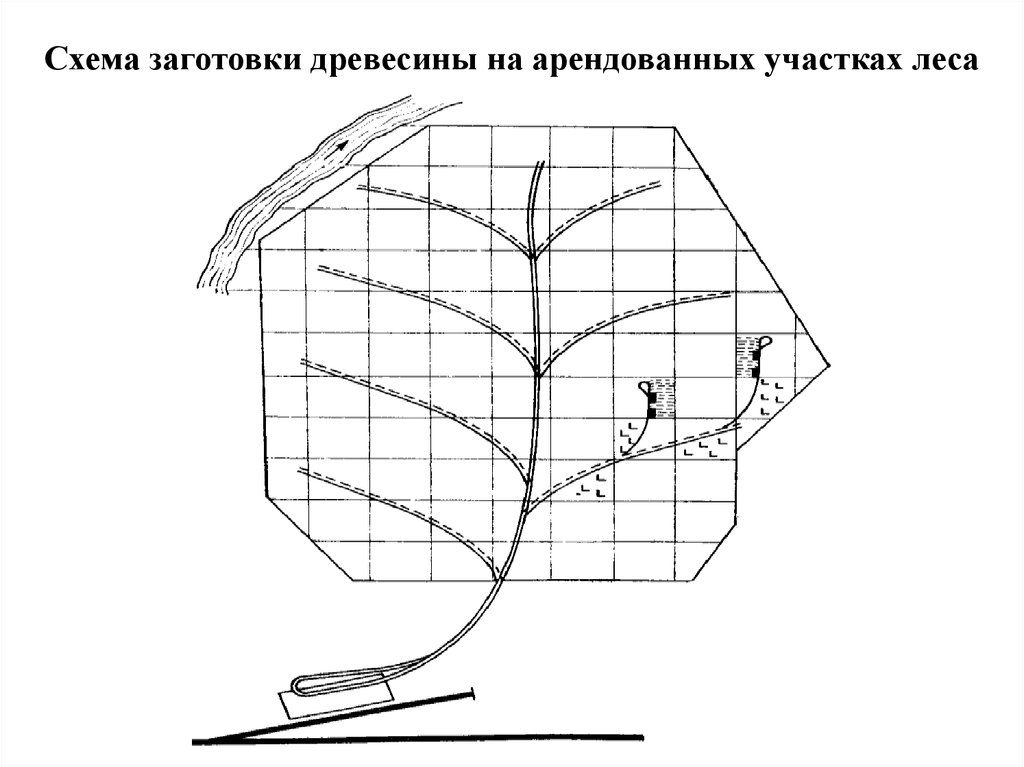 Процесс заготовки древесины. Процесс заготовки древесины схема. Схема техпроцесса заготовки древесины харвестер + форвардер. Технологический процесс заготовки древесины схема. Схема лесозаготовки.