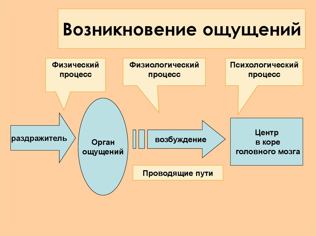 Механизм процесса развития. Механизм возникновения зрительных ощущений. Механизм возникновения ощущений психология. Возникновение ощущений схема. Процесс возникновения ощущений.