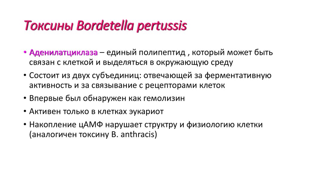 Токсины читать на русском. Bordetella pertussis токсины. Токсины b. pertussis. Ферментативная активность у Bordetella pertussis. Пертуссис Токсин.