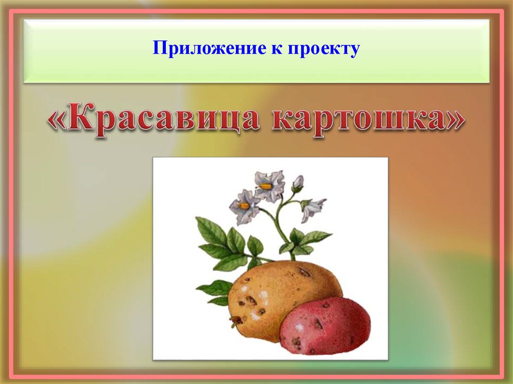 Презентация красавица картошка