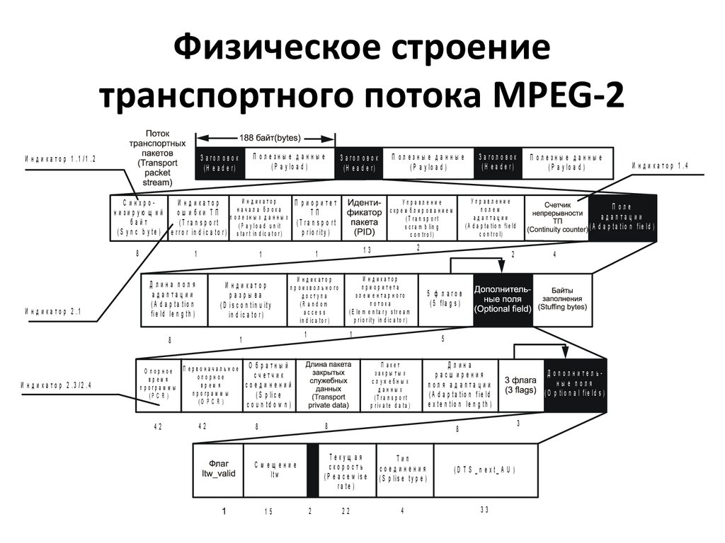 Физическое строение. Формирование транспортного потока mpeg2. Структура MPEG. Структура программного потока стандарта MPEG-2.. Структура элементарного потока MPEG.