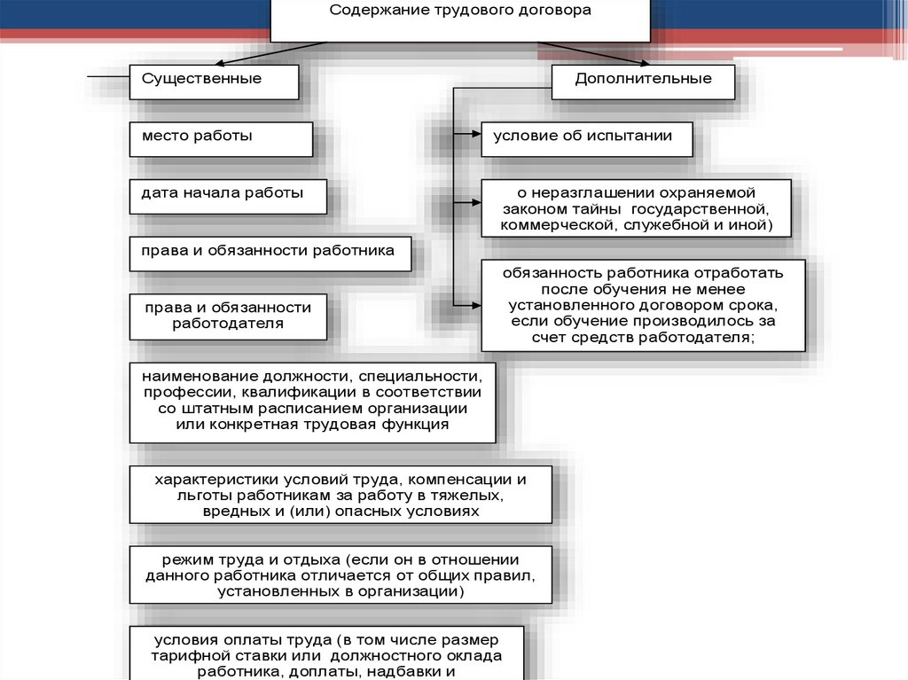 Содержание трудового договора существенные условия. Содержание трудового законодательства.