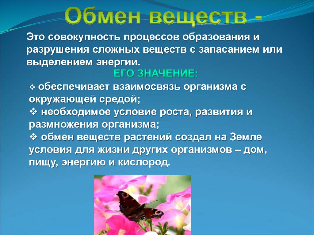 Обеспечивает процесс образования. Обмен веществ это совокупность процессов образования. Совокупность основных процессов образует продолжите предложение. Процесс это совокупность. Разрушение сложных веществ.