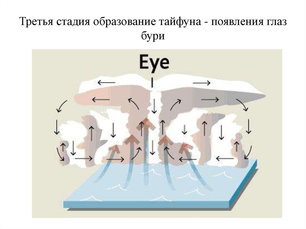 Третью стадию. Тайфун схема образования. Механизм образования тайфунов. Образование тайфуна. Механизм возникновения тайфуна.