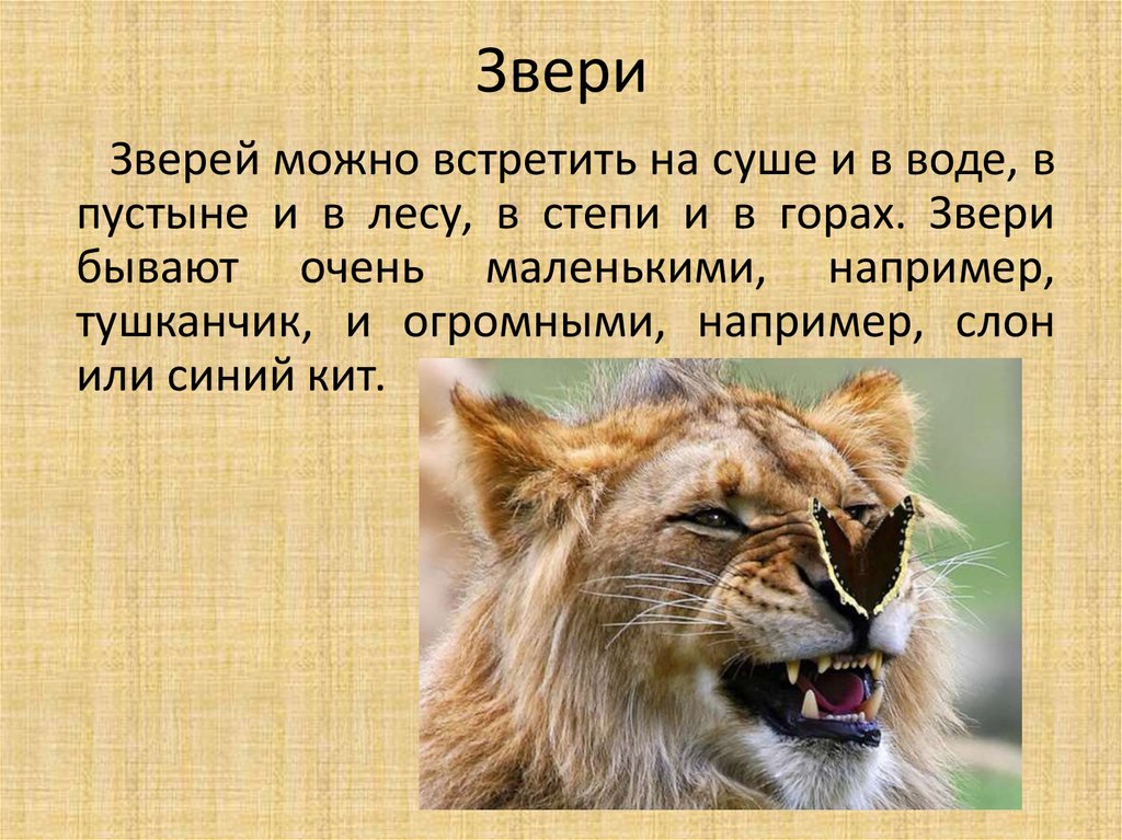 Каких зверей можно