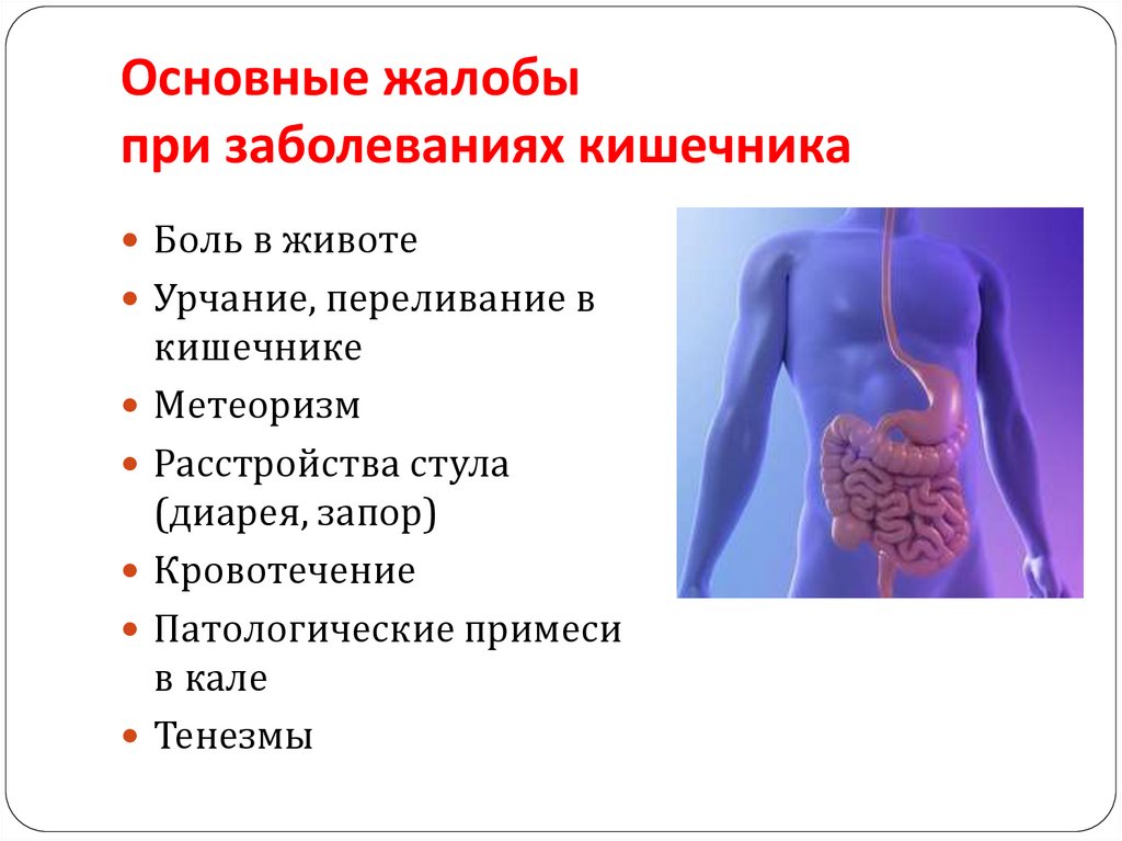 Заболевания кишечника у мужчин. Кишечные заболевания симптомы. Основные кишечные заболевания. Основные заболевания кишечника.