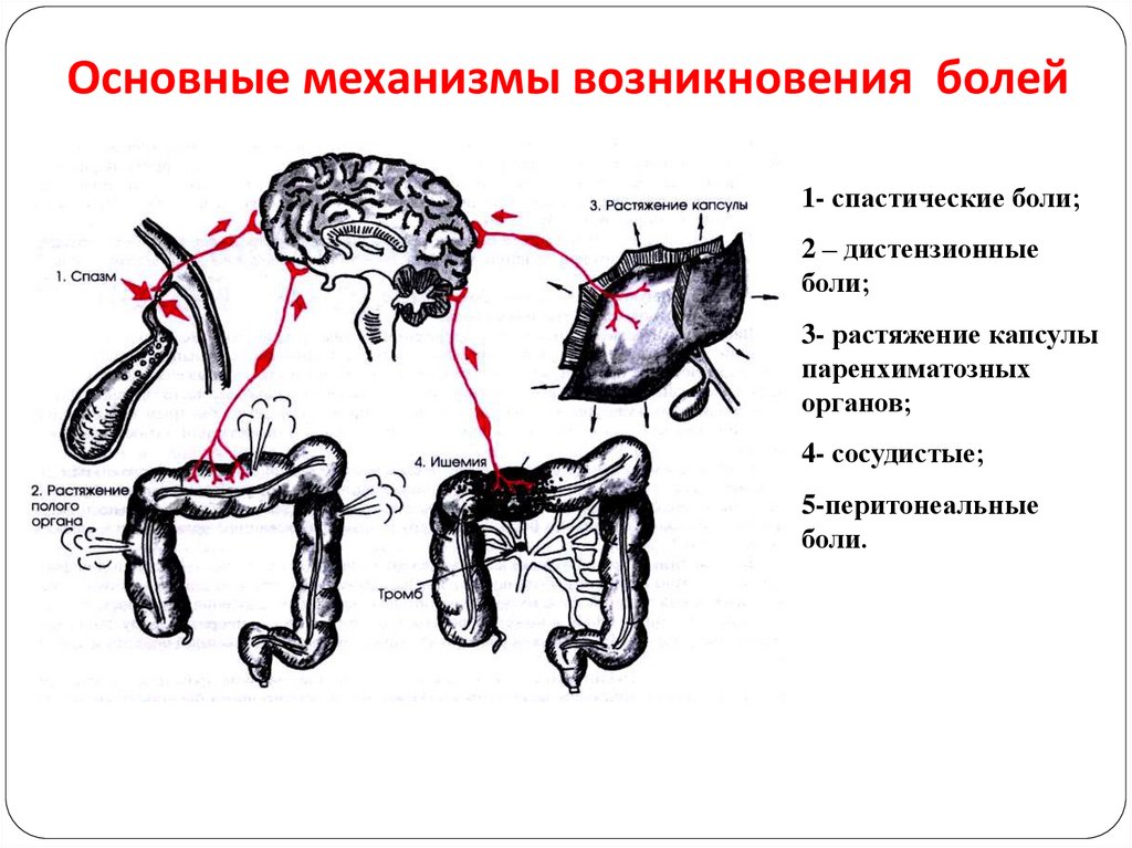 Основные механизмы