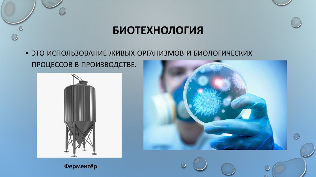 Курсовая работа по биотехнологии образец