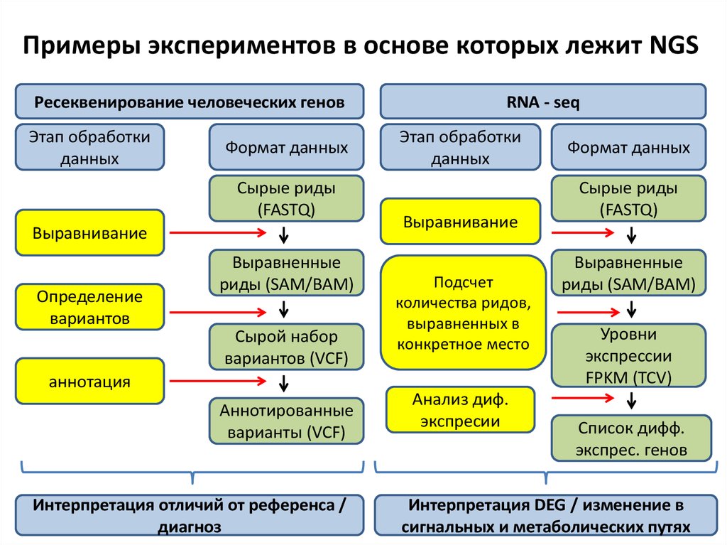 Программа эксперимента образец