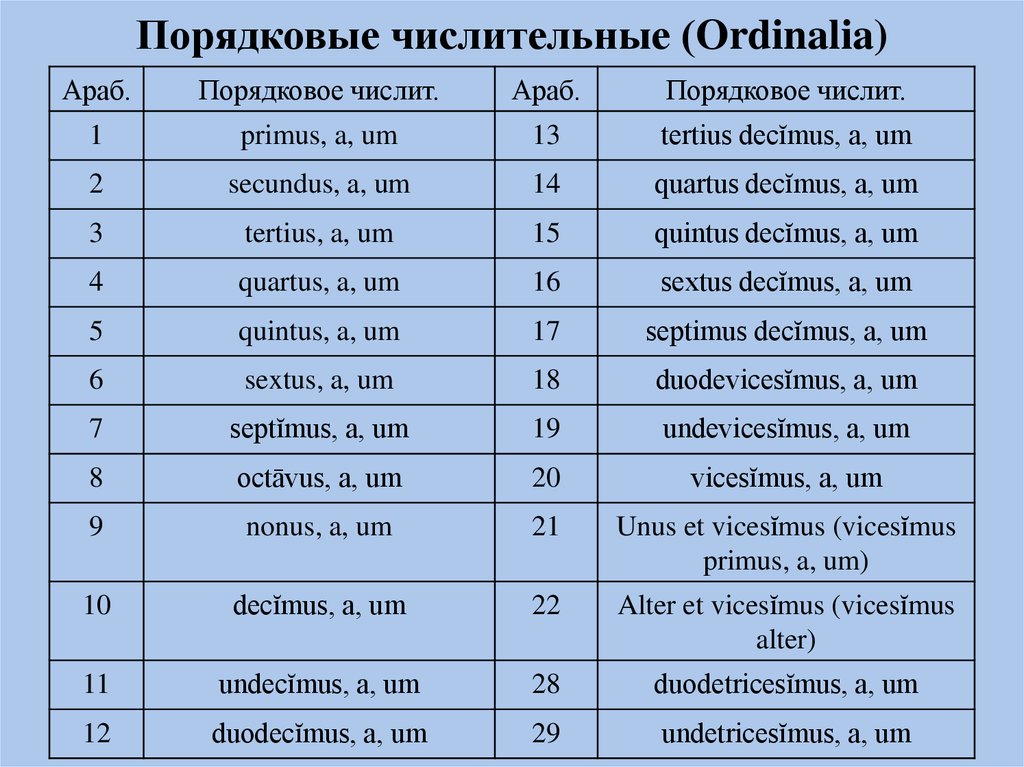 Латинский образец 9