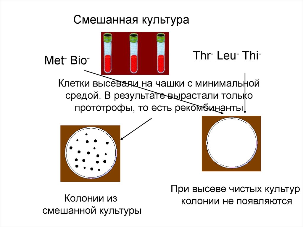 Пили бывают