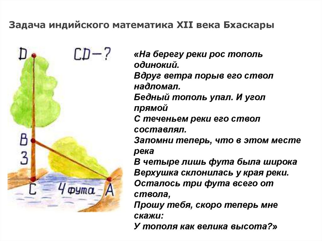 Инд задания. Задача Бхаскары. Задача индийского математика Бхаскары. Задача Бхаскары цветок лотоса решение. Задача индийского математика Бхаскары треугольник.