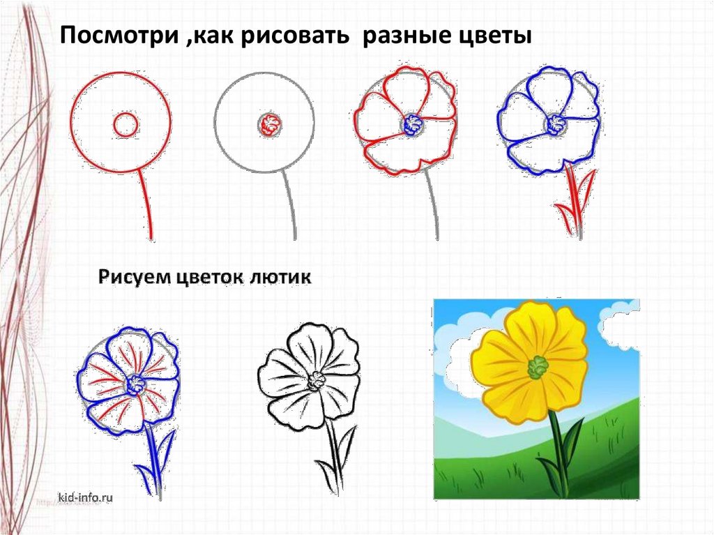 Включи рисовать цветы. Этапы рисования цветка. Схемы рисования цветов. Поэтапное рисование растений. Цветы поэтапное рисование для детей.