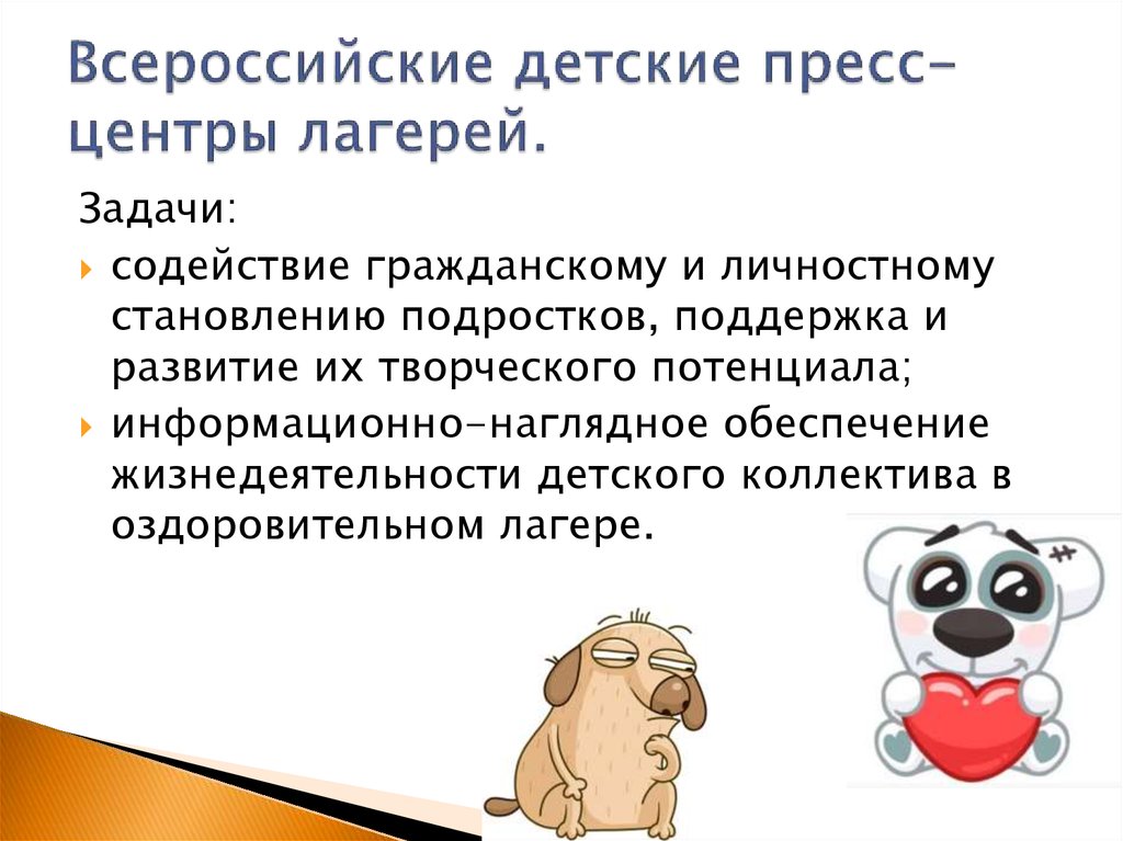 Всероссийские детские пресс-центры лагерей.