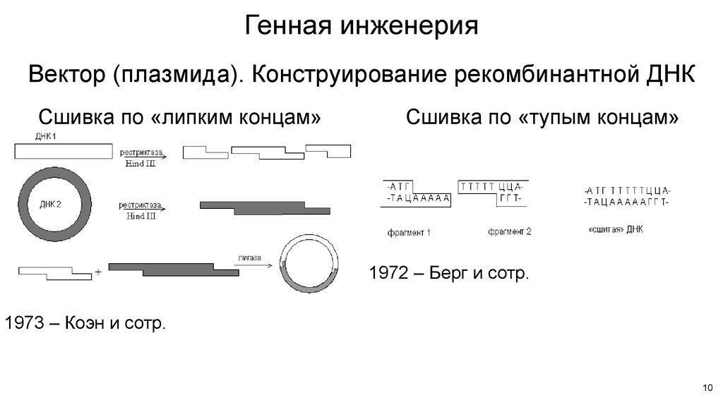 Рестриктазы и плазмиды. Рестриктазы в генной инженерии. Рестрикция в генной инженерии. Рестрикция ДНК. Плазмиды в генной инженерии.