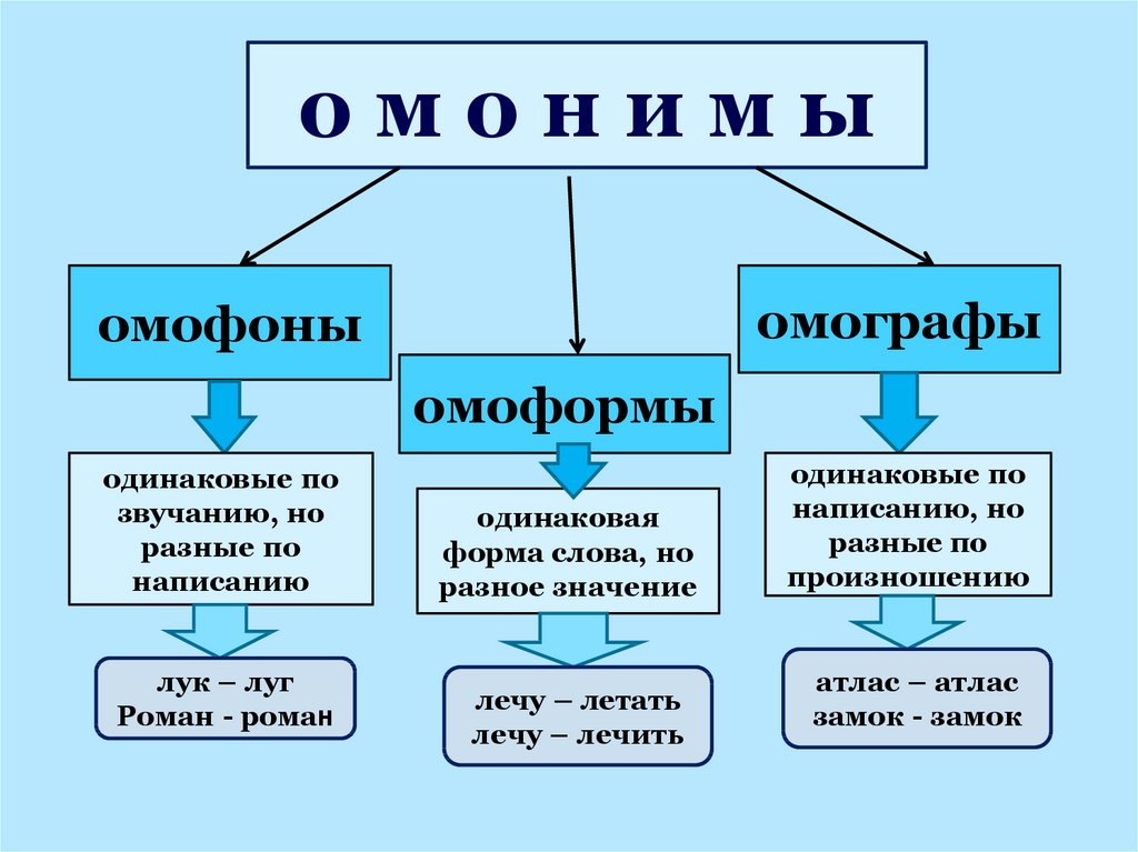 Паронимы и омонимы презентация