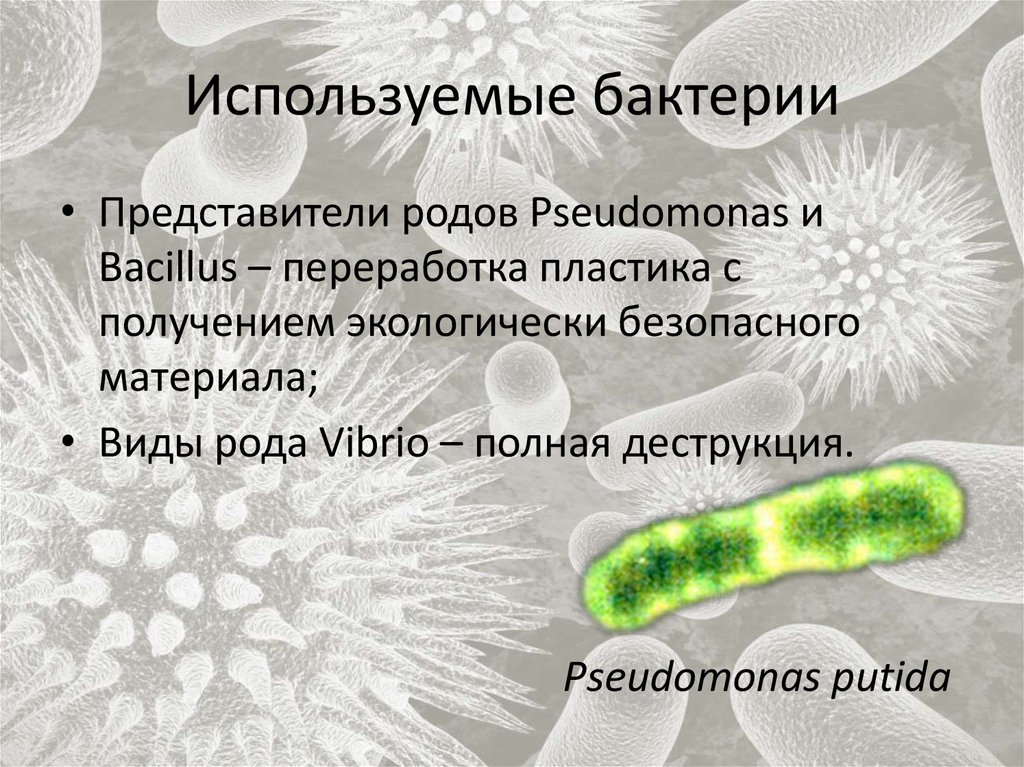 Какие бактерии использует человек