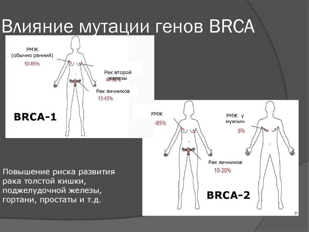 Влияние мутации генов BRCA