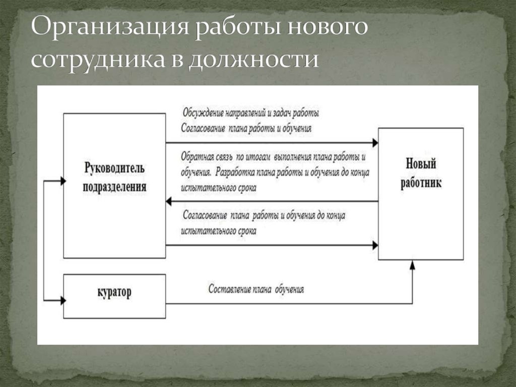 Организовать эпоха. Ввод в должность нового сотрудника.