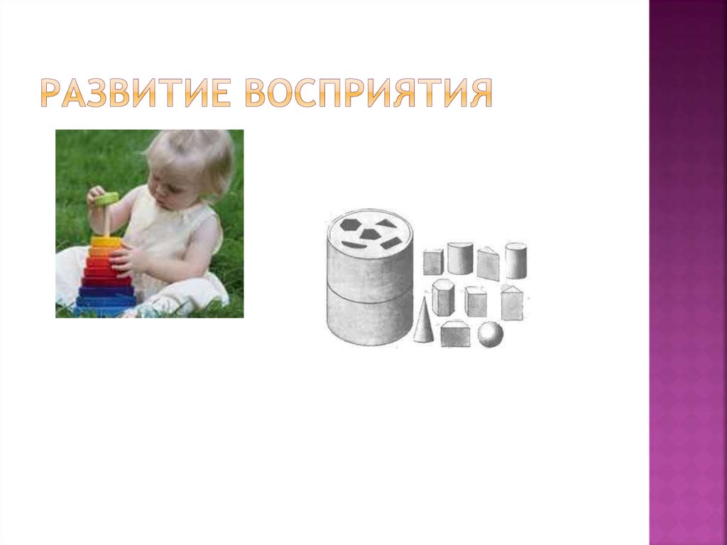 Развитие восприятия