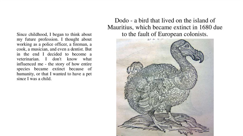Dodo - a bird that lived on the island of Mauritius, which became extinct in 1680 due to the fault of European colonists.