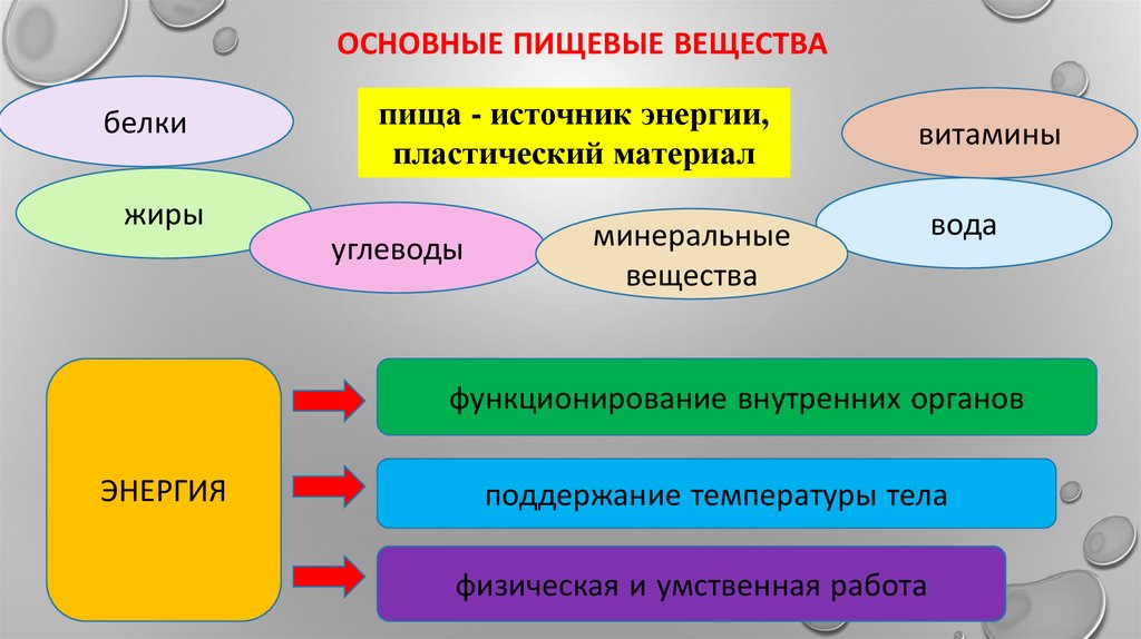 Основные виды питательных веществ и их значение в питании человека презентация