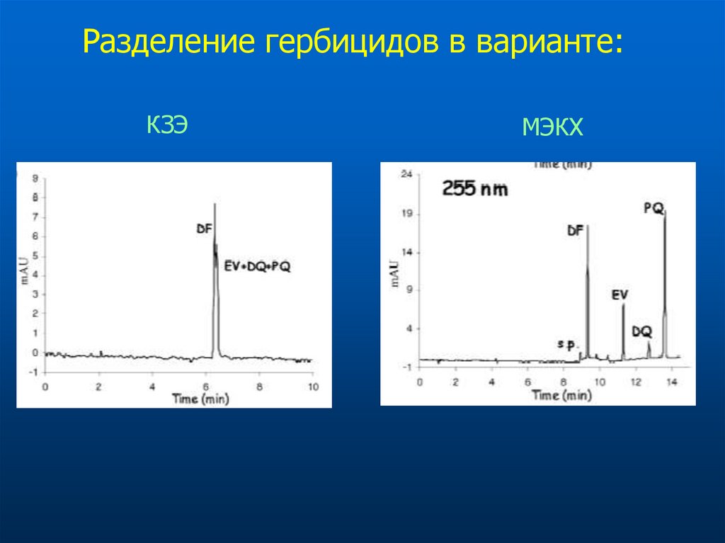 Капиллярный электрофорез презентация