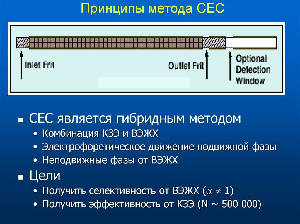 Капиллярный электрофорез презентация