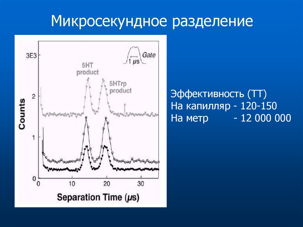 Капиллярный электрофорез презентация