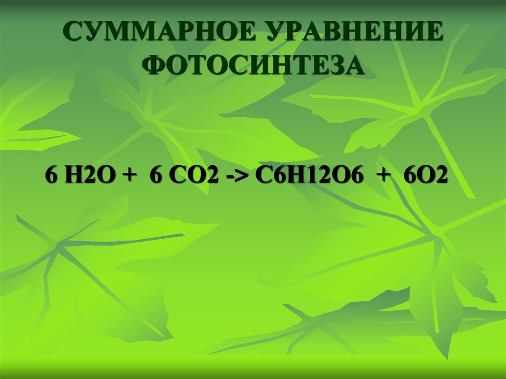 Образование глюкозы в зеленом растении. Суммарная реакция фотосинтеза формула. Фотосинтез формула реакции. Суммарное уравнение фотосинтеза. Суммарная формула фотосинтеза.