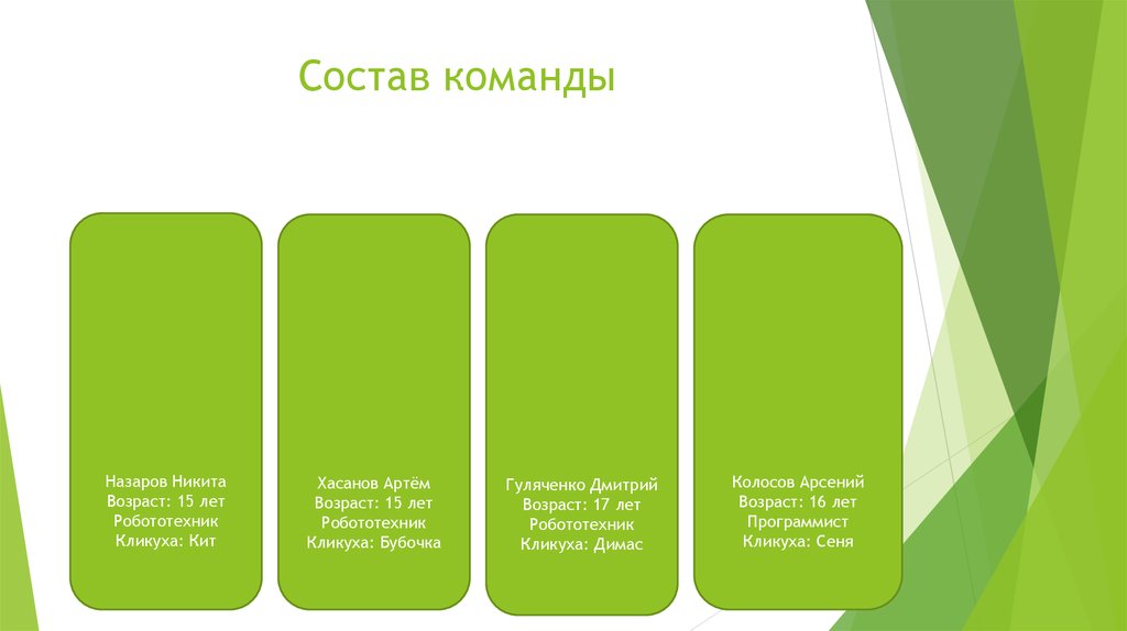 Состав команды