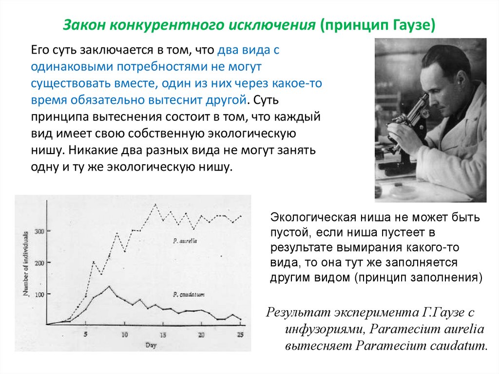 Принцип исключения гаузе