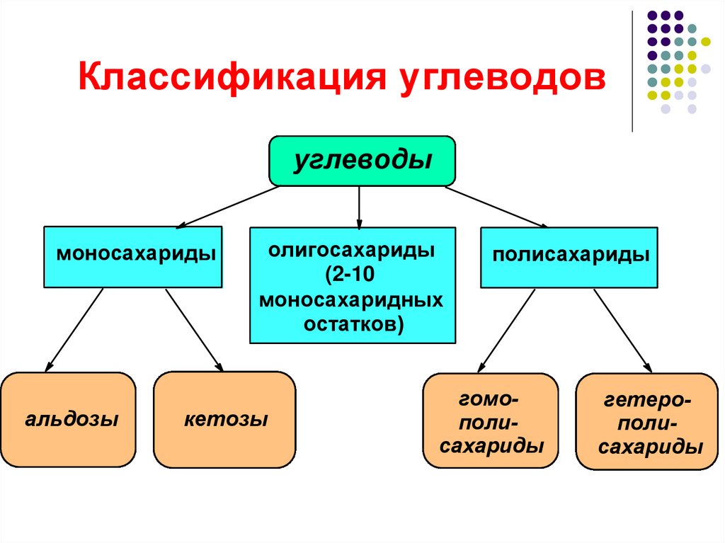 Строение и классификация углеводов