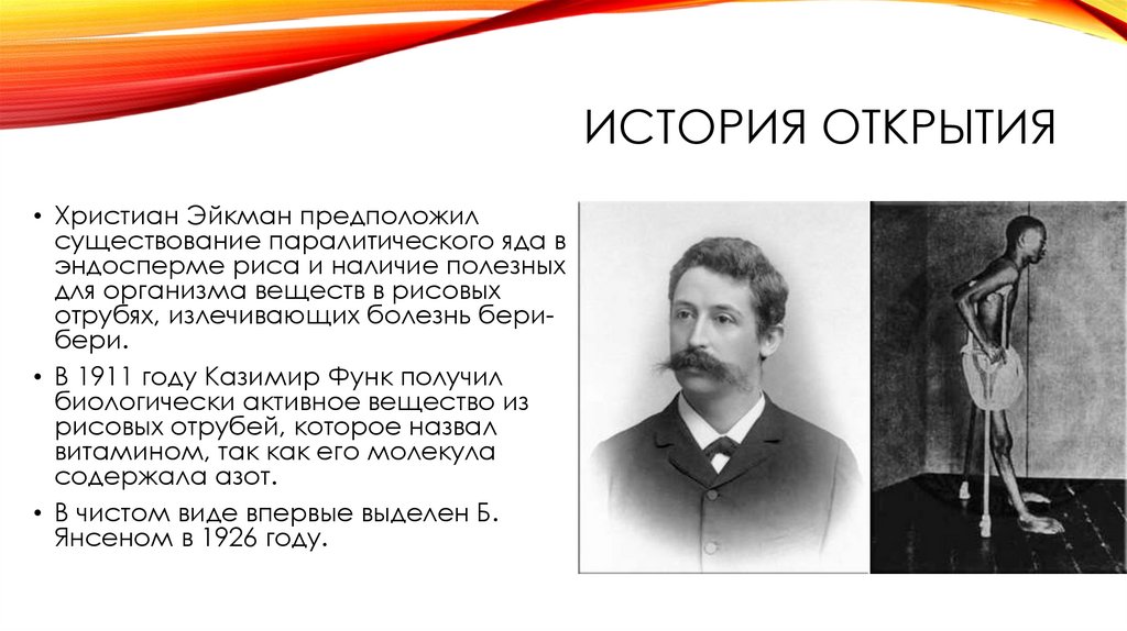 История 1 открытия. История открытия витамина в1 кратко. Кто открыл витамин в1. Бери-бери история открытия болезни. История открытия витаминов Эйкман.