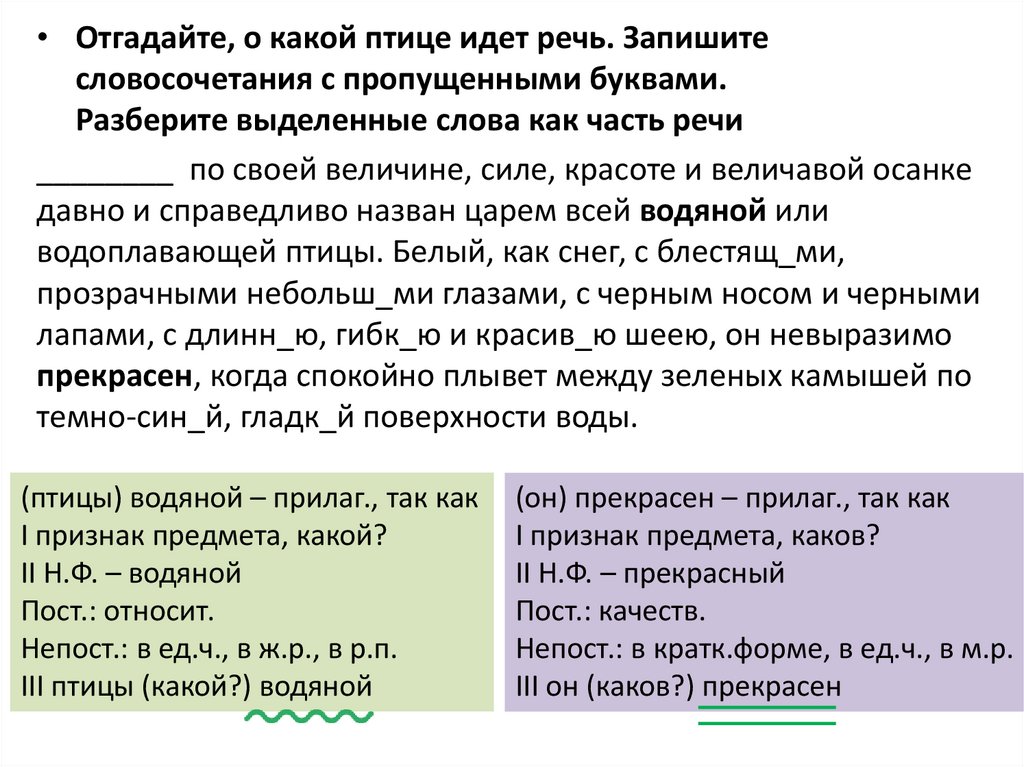 Правописание окончаний прилагательных 3 класс диктант