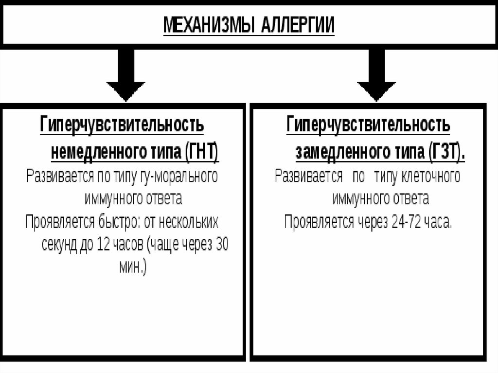 Презентация гиперчувствительность немедленного типа