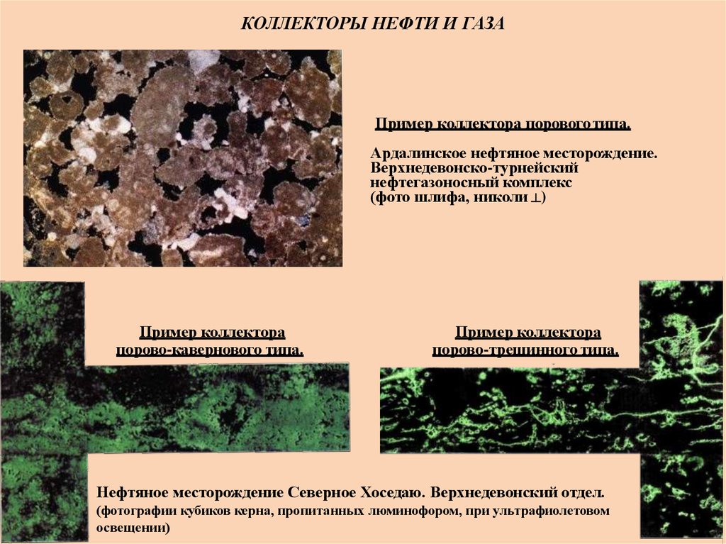 Коллектор в нефтянке. Породы коллекторы нефти и газа. Типы нефтяных коллекторов. Типы пород коллекторов. Терригенные и карбонатные коллектора.