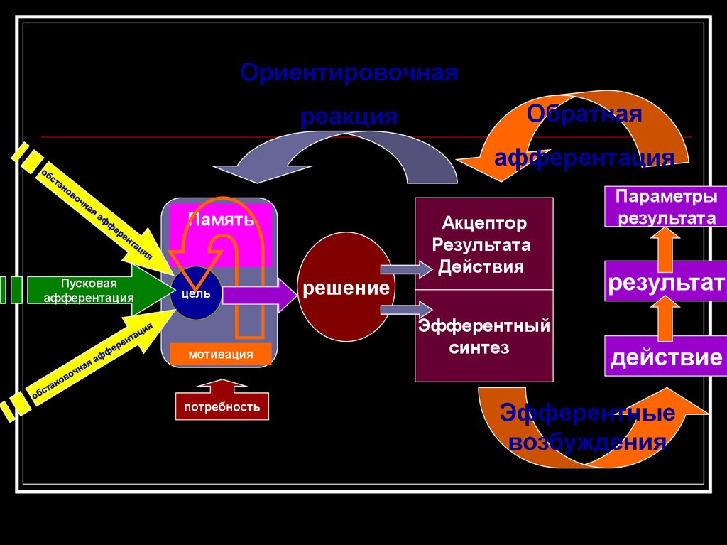 Стадии поведенческого акта презентация