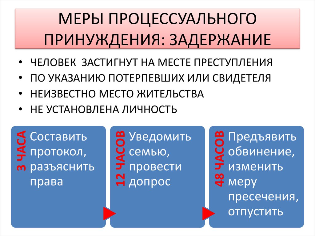 Меры процессуального принуждения презентация