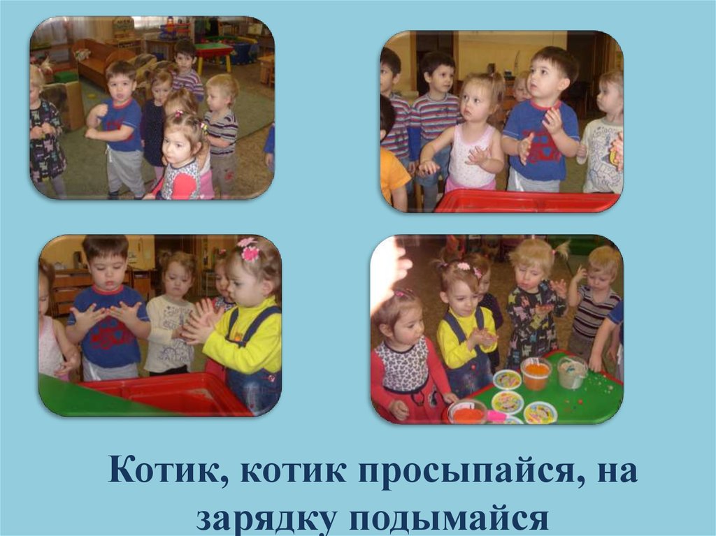 Котик, котик просыпайся, на зарядку подымайся