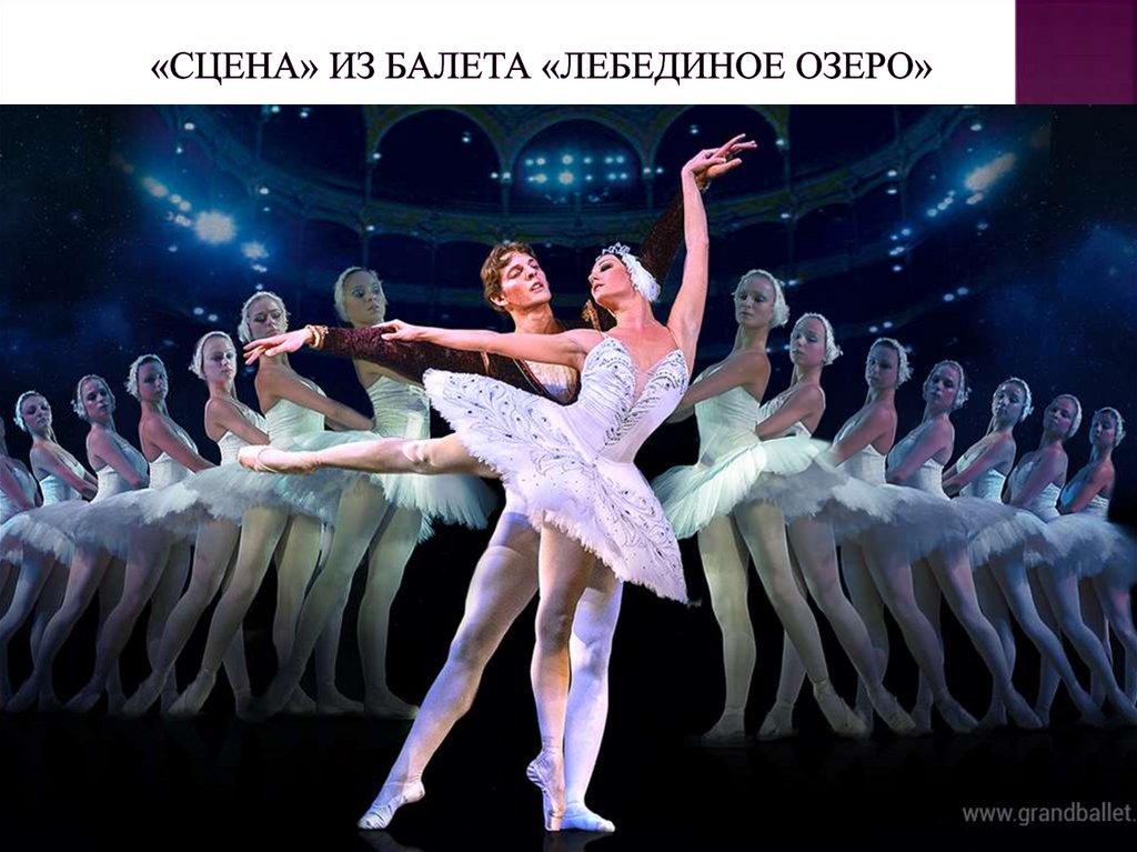 «Сцена» из балета «Лебединое озеро»