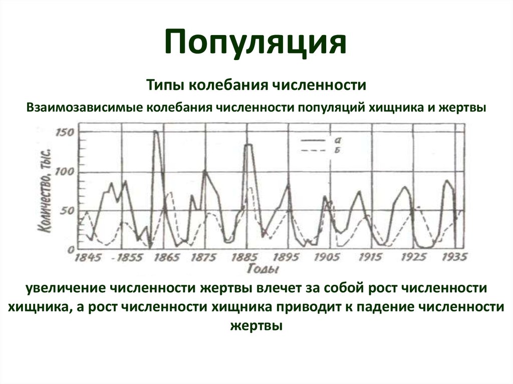 Колебания численности популяции