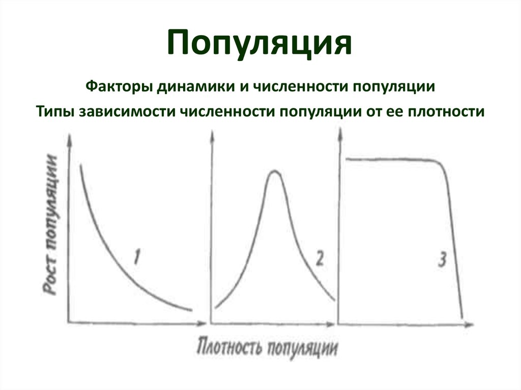 Популяция биосфера