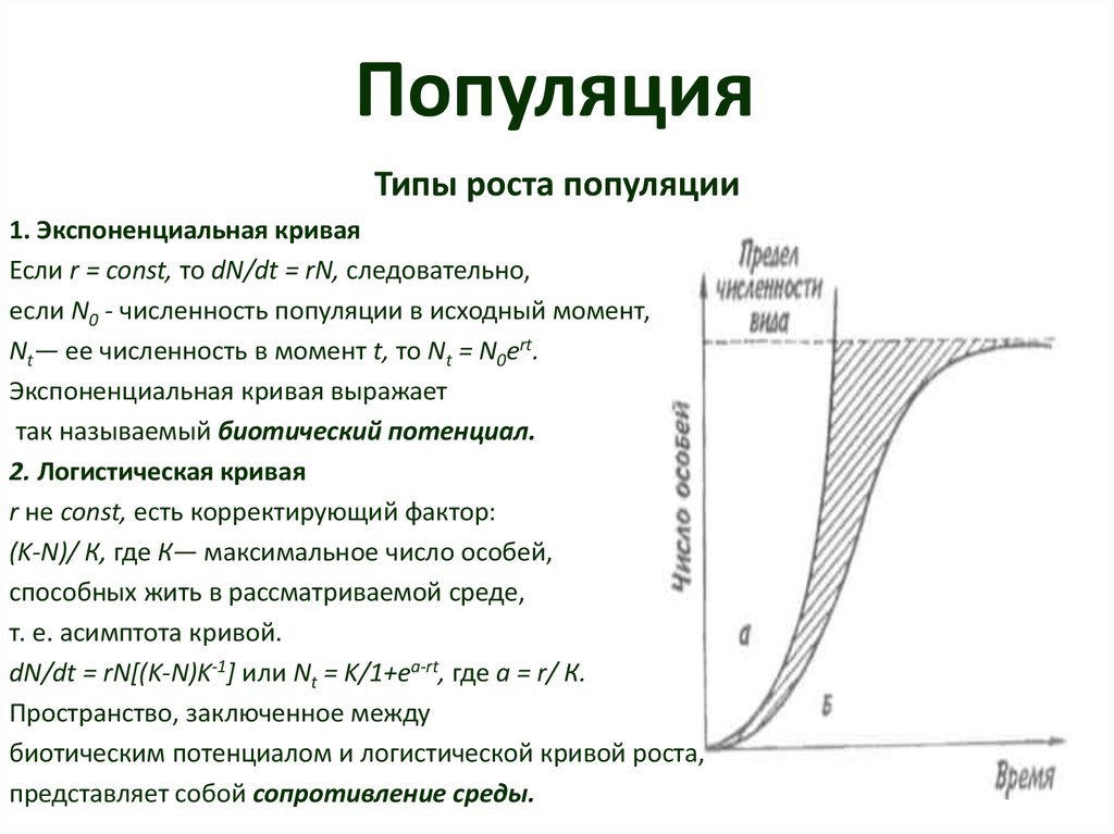 Линейный и экспоненциальный рост презентация