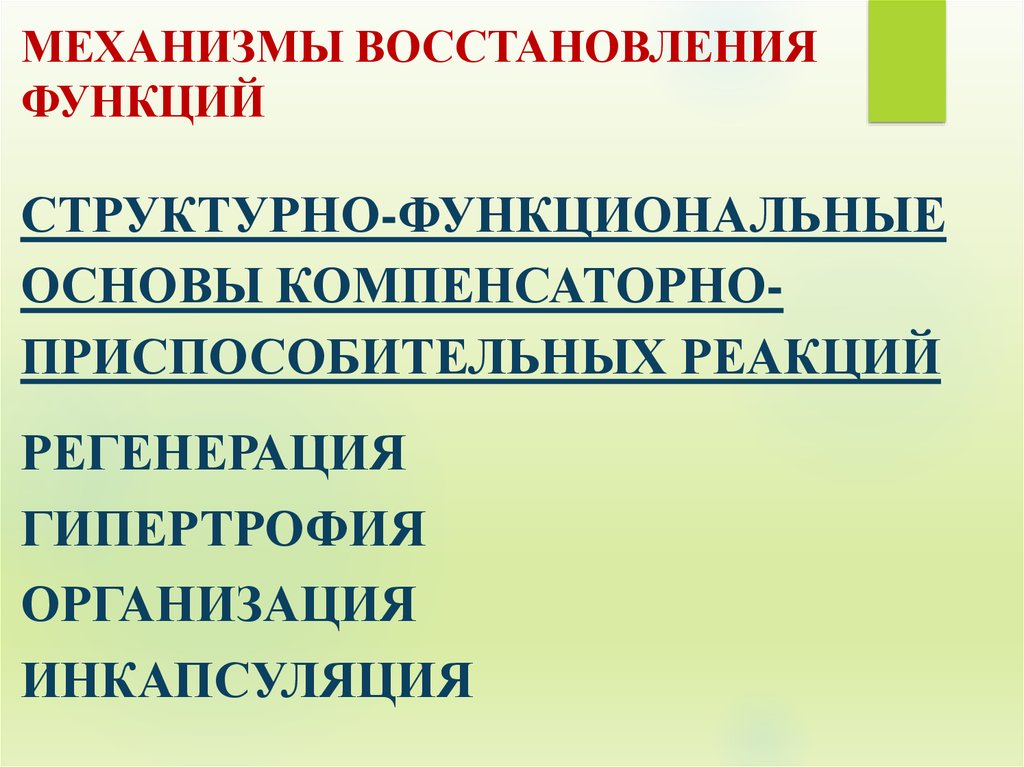 Восстановление механизма. Механизмы восстановления функций. Механизмы восстановления функций: регенерация-. Механизмы восстановления функций патология. Механизм восстановления нарушенных функций патология.